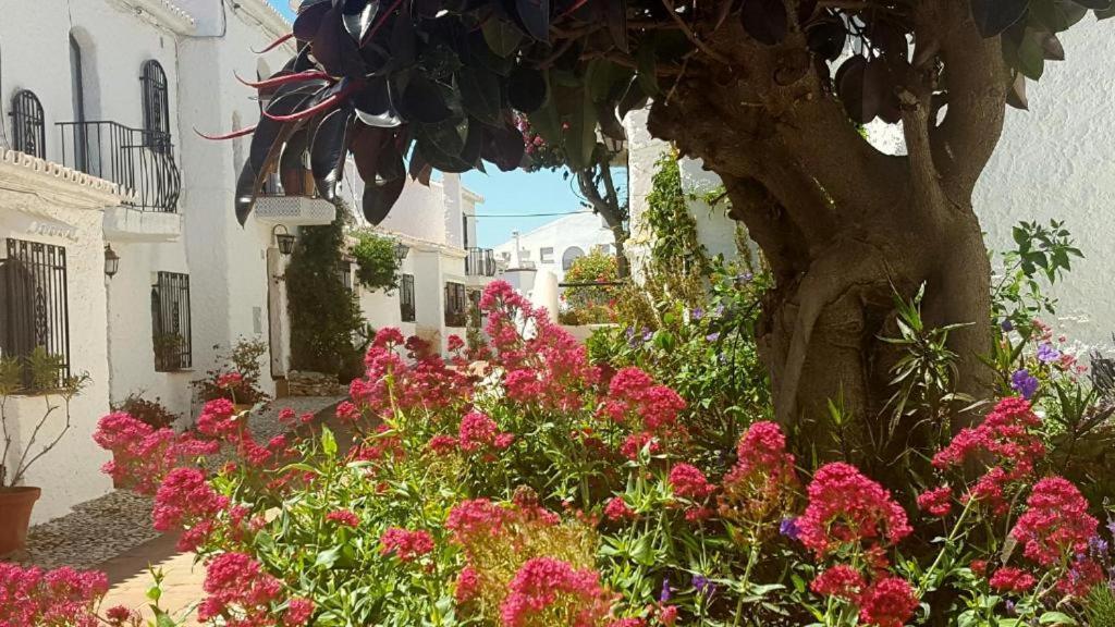 Apartamento Capistrano Village Nerja Ngoại thất bức ảnh